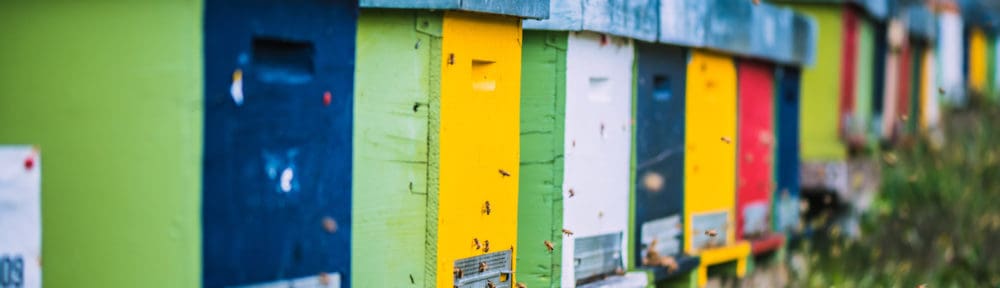 Bee boxes