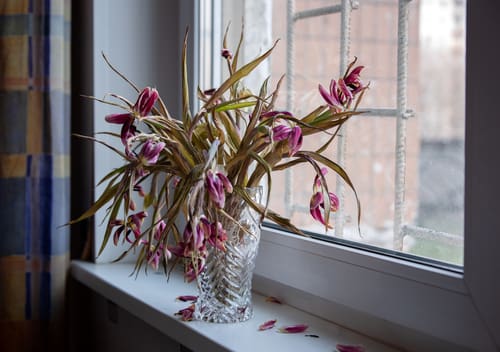 Feeling forgotten like wilted flowers